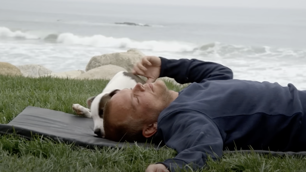 Avicii lying down on the grass near the shore with a dog