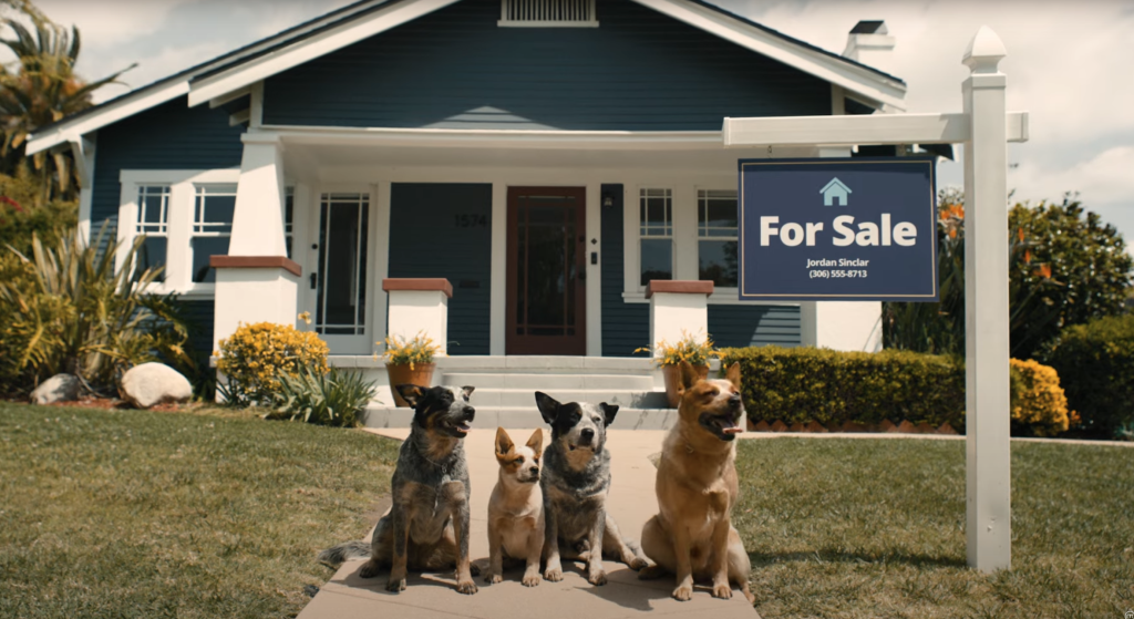 Four dogs sit in front of a house on sale