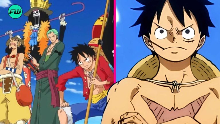 One Piece Would’ve Been Over Before It Even Began- One Piece NPCs Who Are Responsible For The 1100+ Episodes in Anime