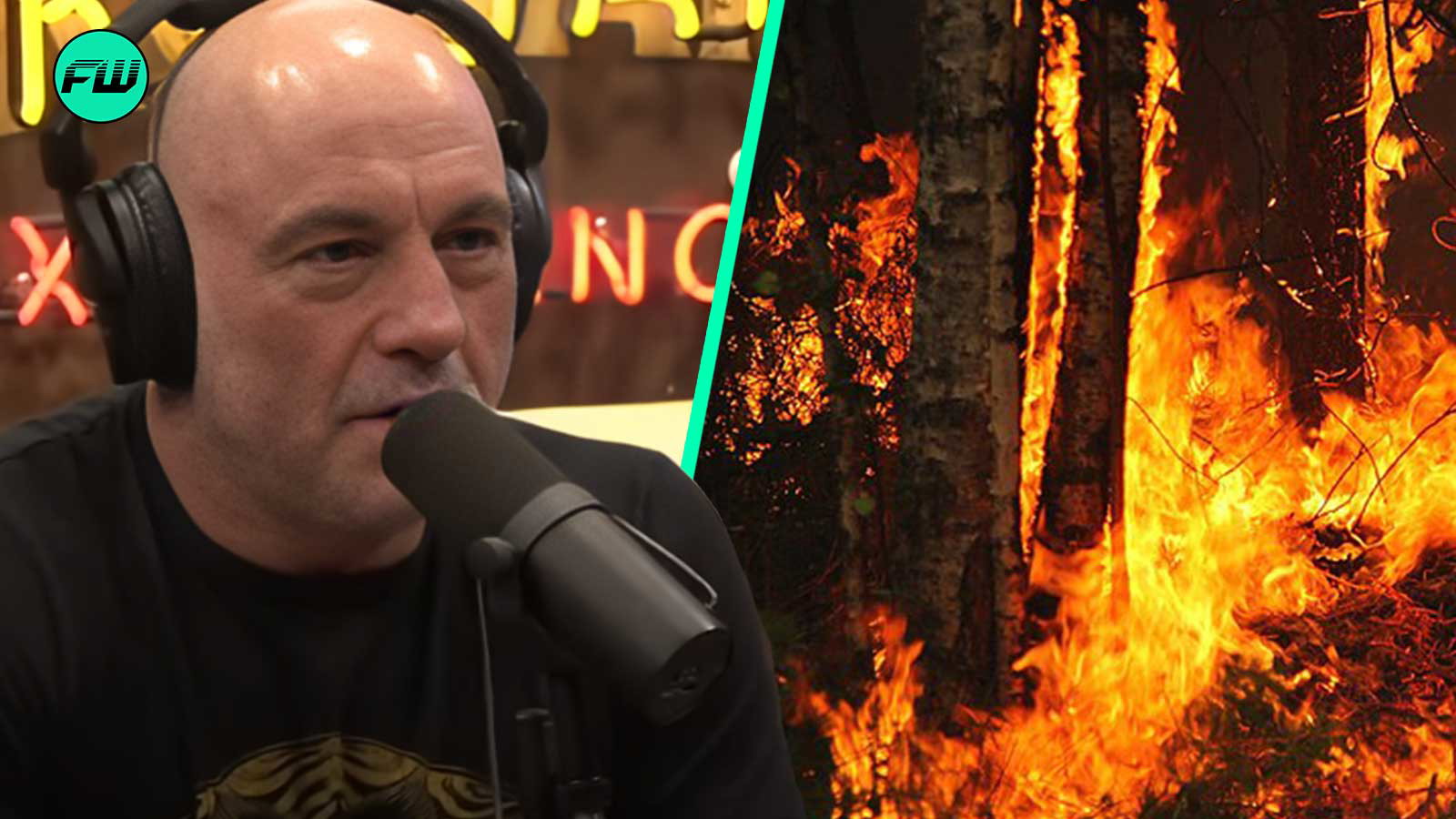 wildfires-joe rogan