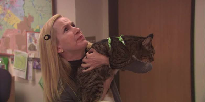 Angela Kinsey’s The Office character Angela Martin with her pet cat, Bandit