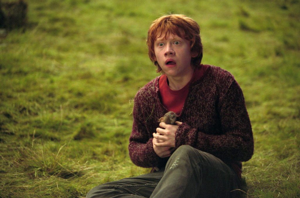 Rupert Grint played the role of Ron Weasley through the 8 Harry Potter films. 