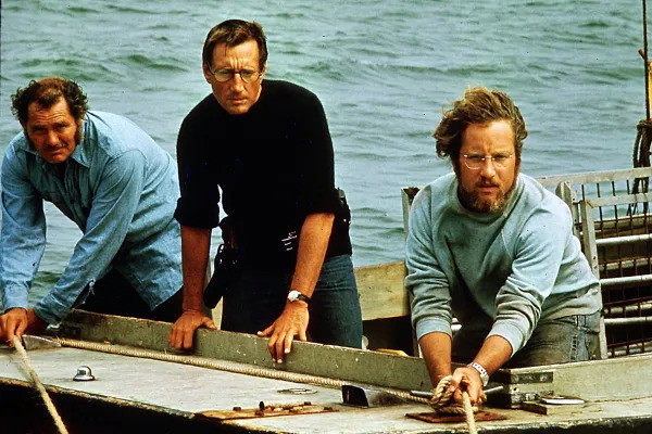 A still from Jaws | Credits: Universal Pictures