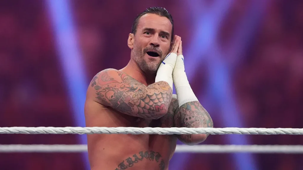 Renowned wrestler CM Punk from within the WWE ring.