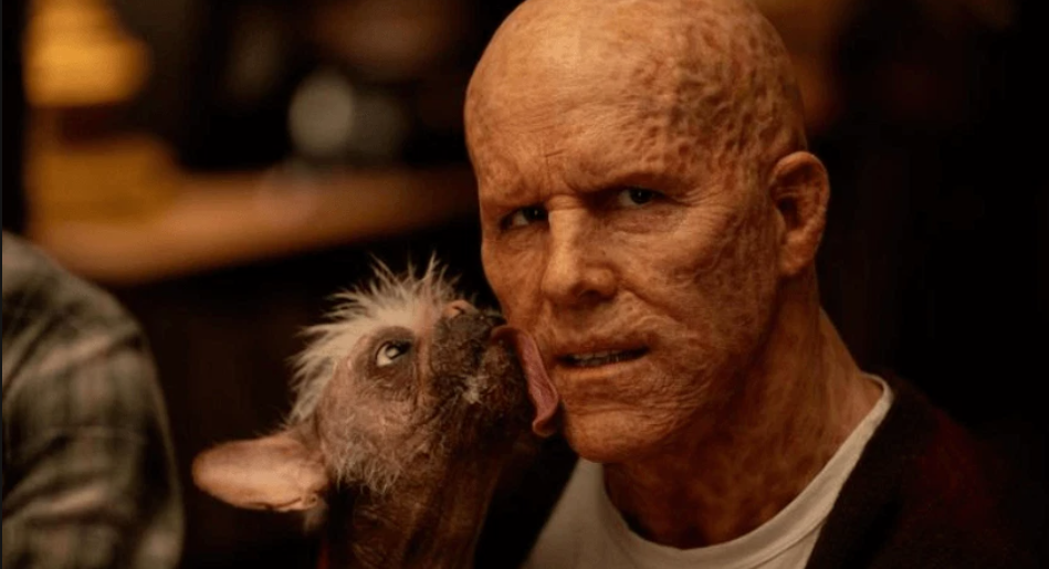 Candace Owens connects “Nice Pool” to Reynolds’ possible frustrations with Justin Baldoni.
