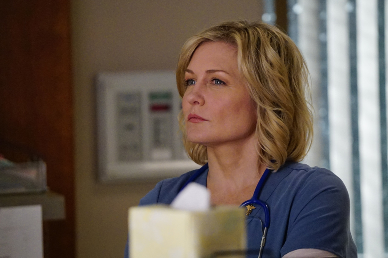 Why Linda Reagan Actor Amy Carlson Left Blue Bloods Before Season 8