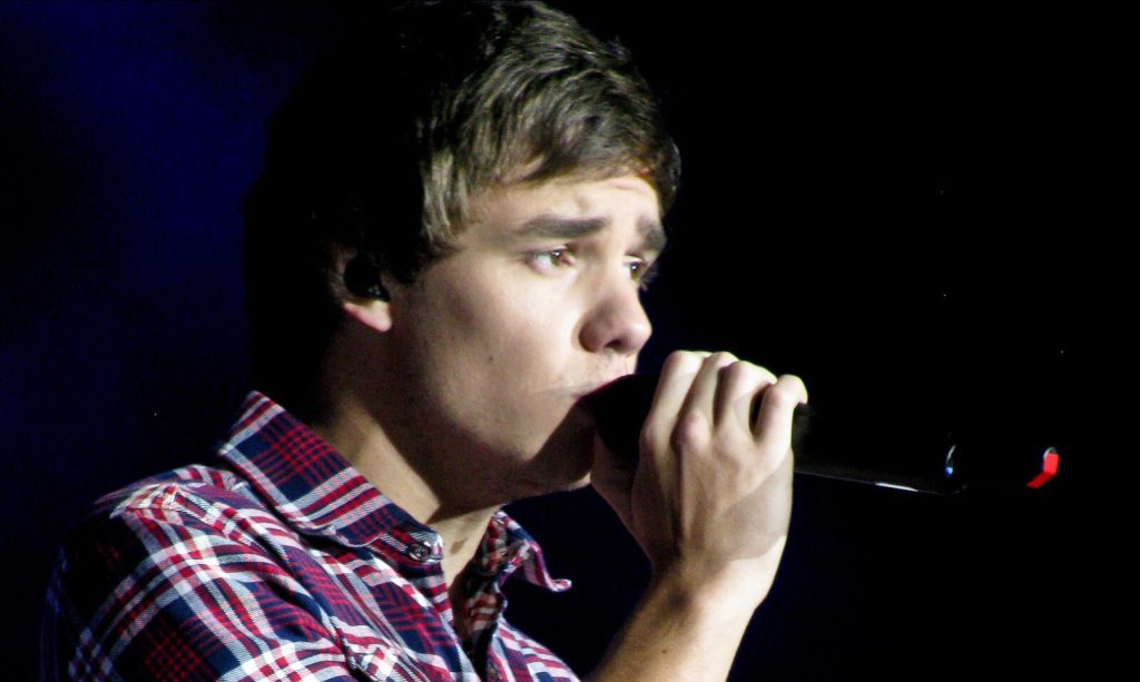 Young Liam Payne in Molson Canadian Amphitheatre, Toronto, Ontario, May 29, 2012.