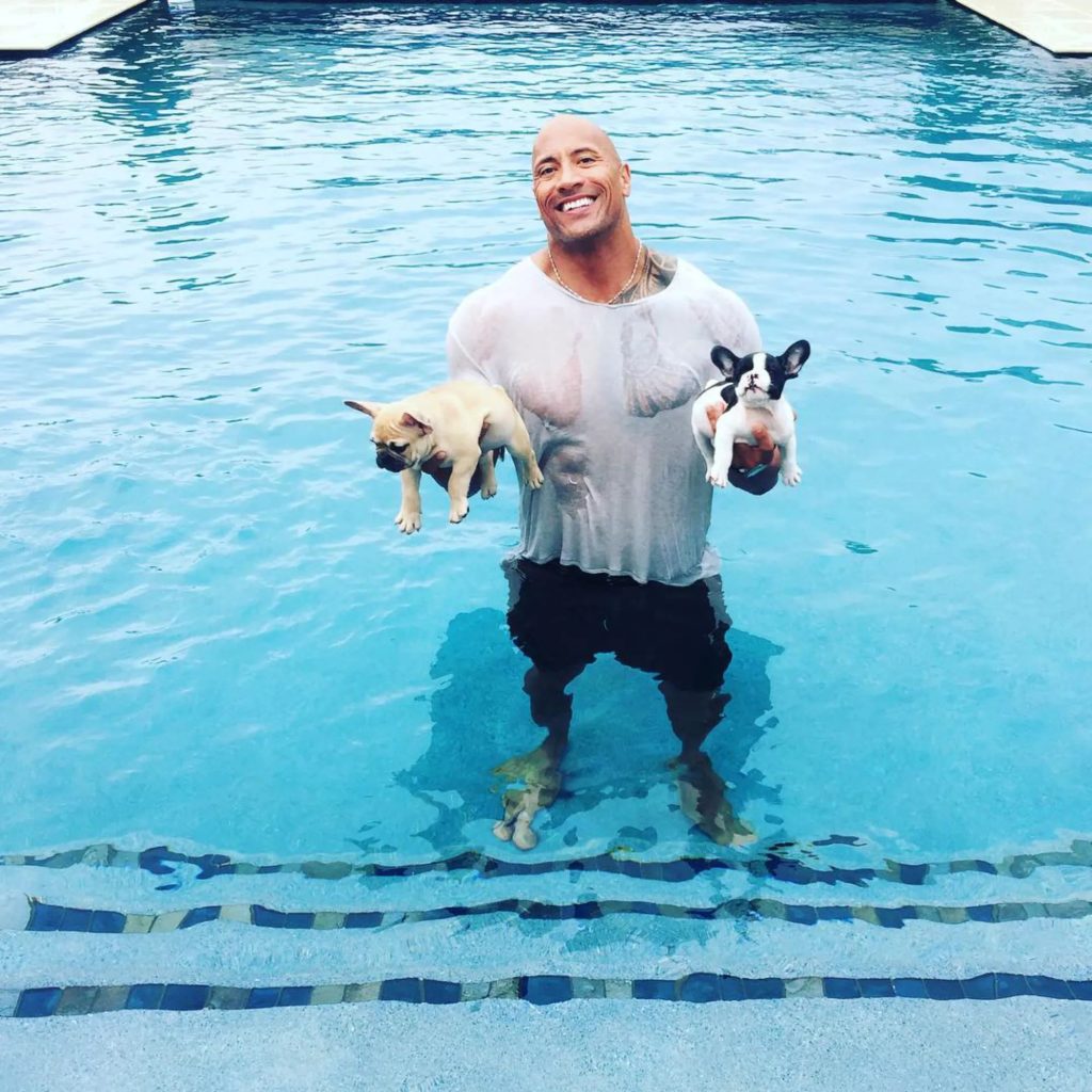 Dwayne Johnson with his two rescued puppies Brutus and Hobbs 