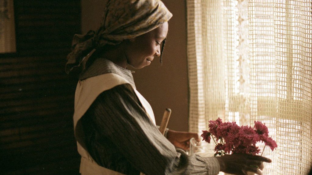 A scene from "The Color Purple" showing Celie (Whoopi Goldberg) in a headscarf standing by a window with flowers, bathed in soft light.