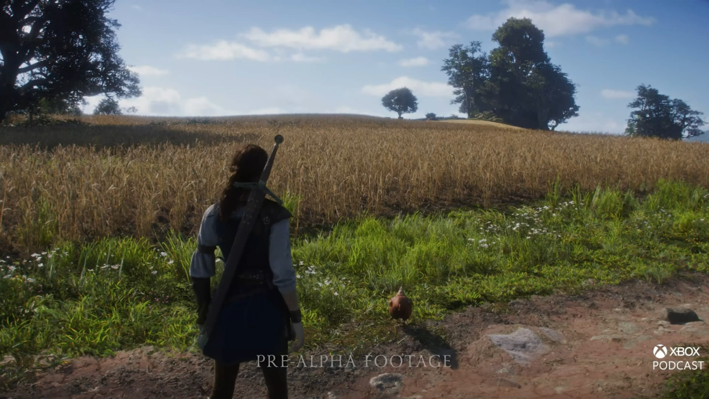 A character in front of a field in Fable.