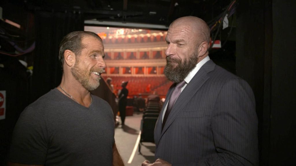 Shawn Michaels & Triple H