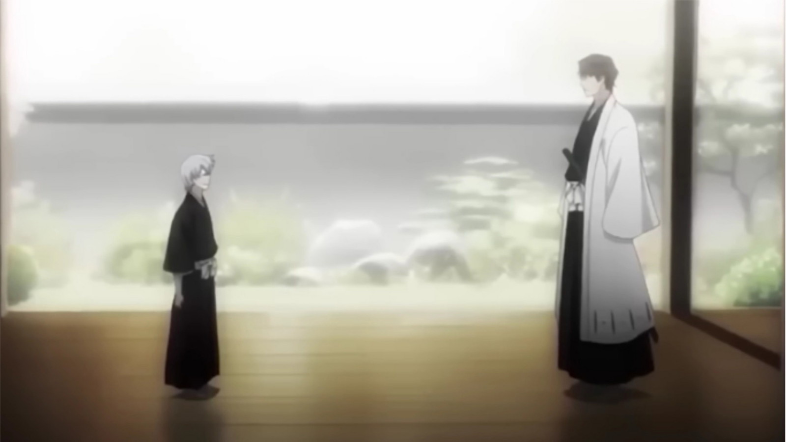 Young Gin is standing in front of Aizen 