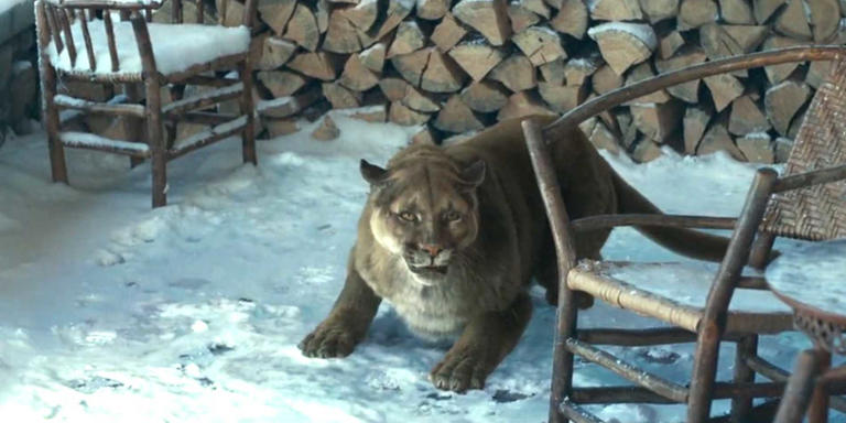 The mountain lion scene from 1923 