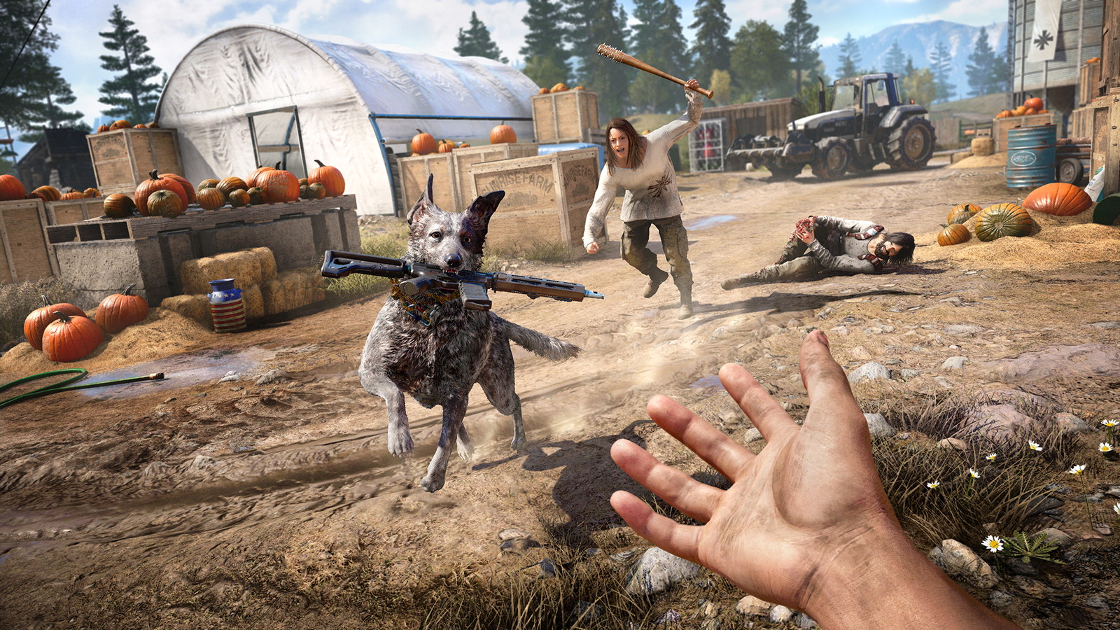 A still of a player in combat in Ubisoft's Far Cry 5.