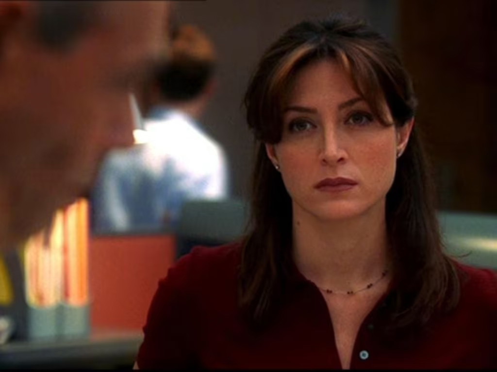 Sasha Alexander as Agent Caitlin Todd.