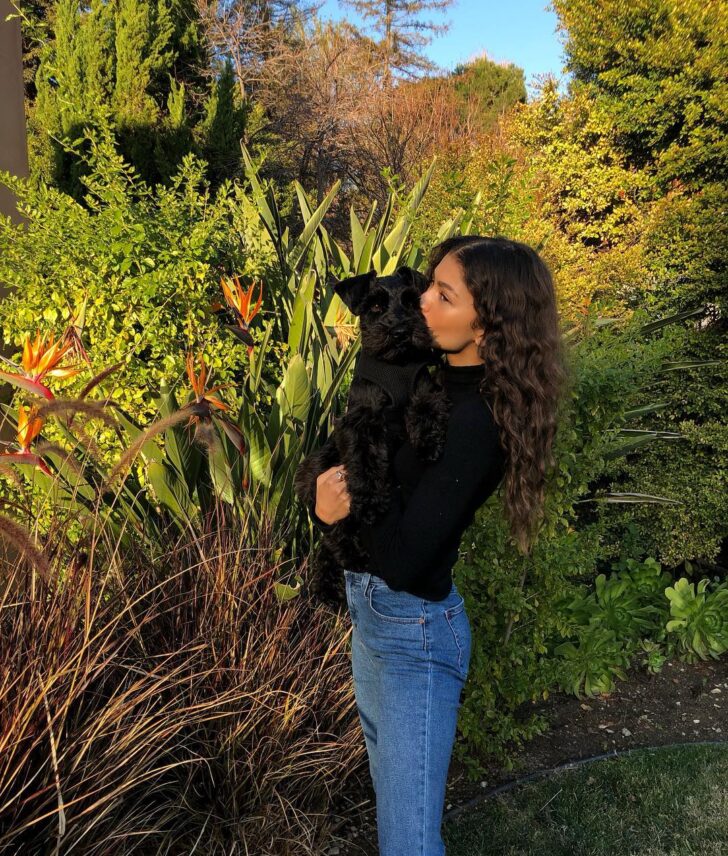 Hollywood's Biggest Dog Lovers: 50 Celebrities Who Love Their Furry Friends