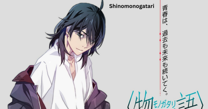 MONOGATARI SERIES GUIDE visual data 4