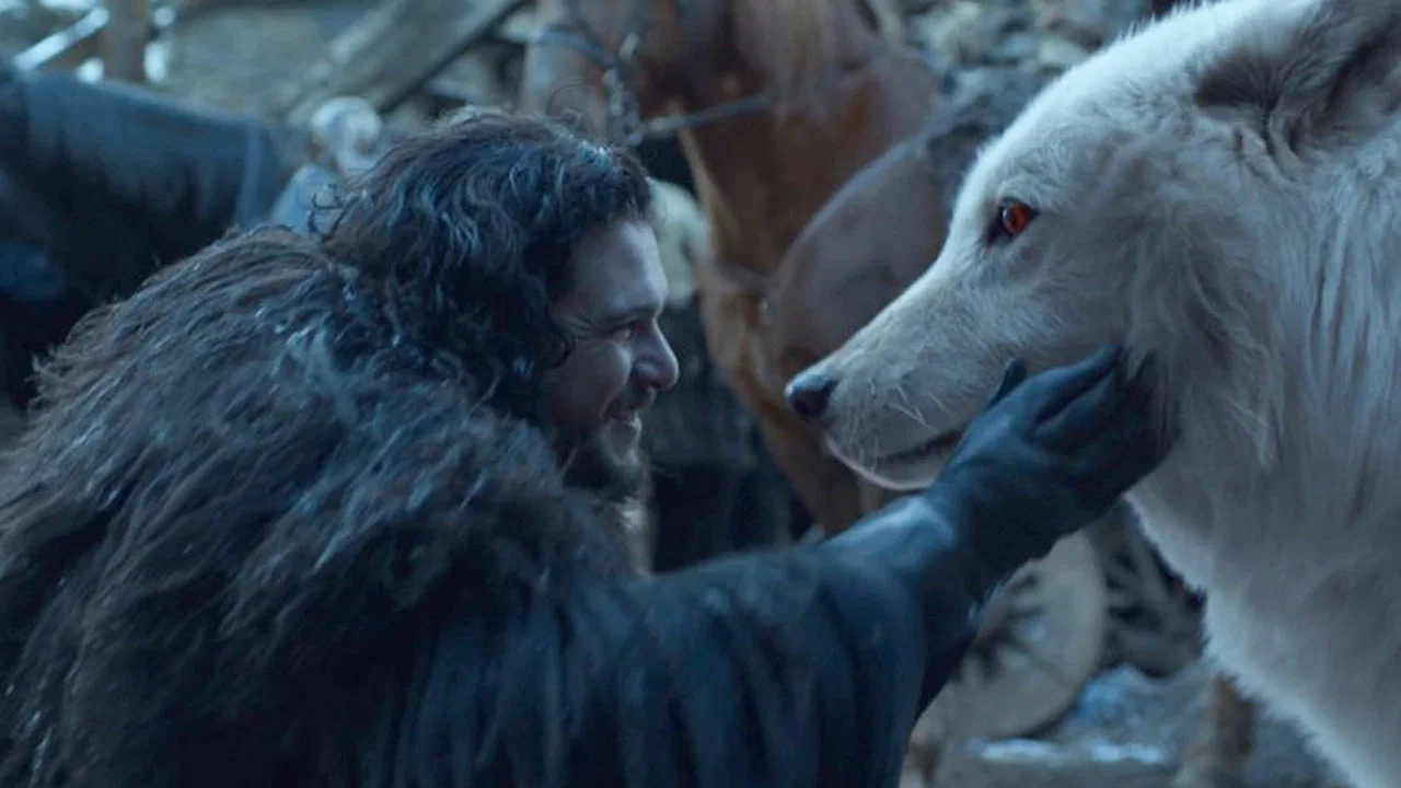 Top 10 Most Gullible Game of Thrones Characters, Ranked 27 kit harington holding ghost in game of thrones
