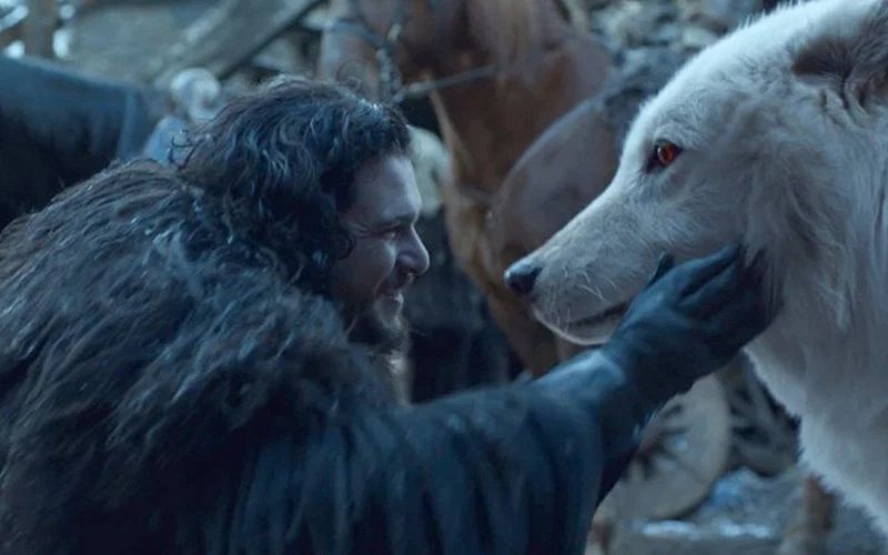 Top 10 Most Gullible Game of Thrones Characters, Ranked 21 kit harington holding ghost in game of thrones