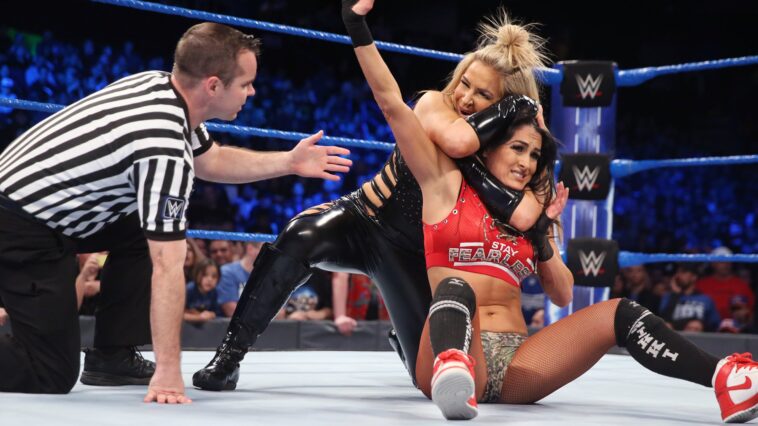 Nikki Bella’s Divorce Settlement: Nikki Bella to Pay $3,500 in Child