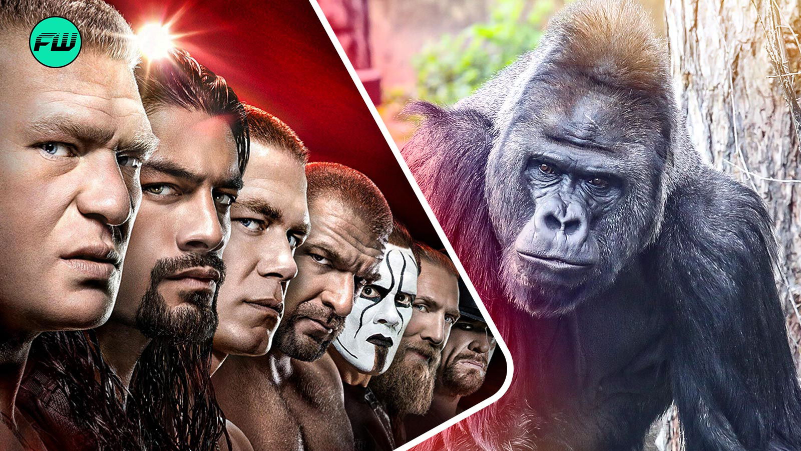 100 Men vs 1 Silverback Gorilla: WWE Stars Really Think Humans Can Beat