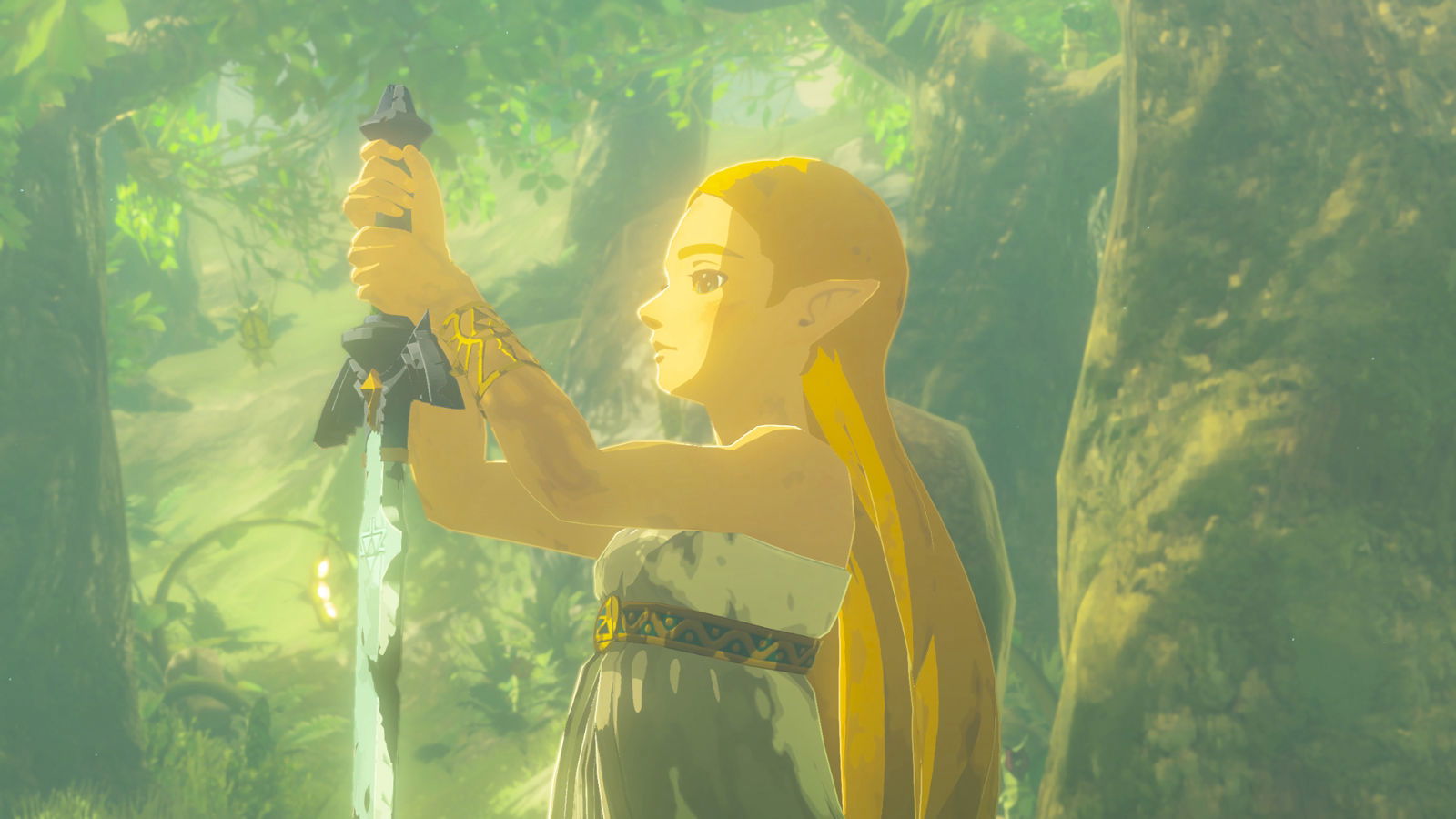 The image shows the PRincess Zelda from The Legend of Zelda: Breath of the wild 