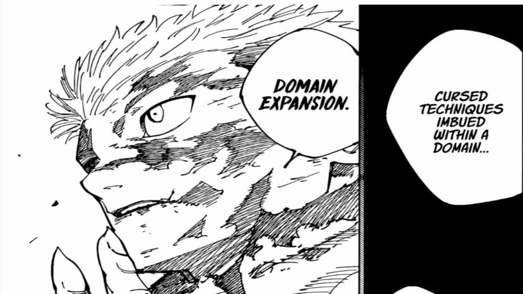 'Kaiju No. 8' Turns Into Another 'Jujutsu Kaisen' as Manga Confirmed to End in 2 Chapters 6 Yuji uses his Doman Expansion