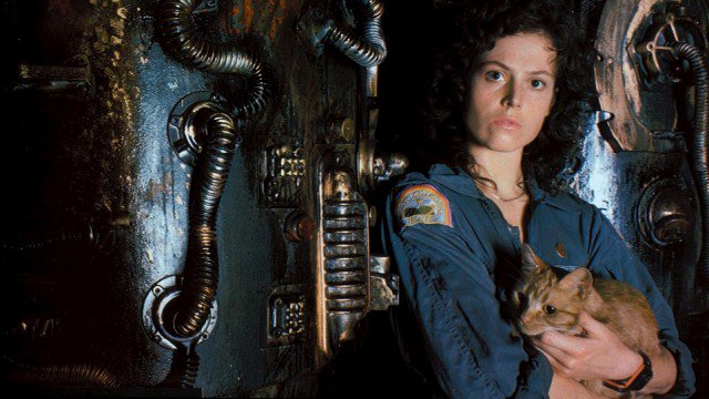 All 9 'Alien' Movies, Ranked Worst to Best 9 Ripley holding a cat in Alien.