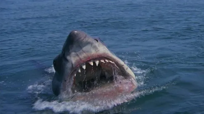 A scene from Jaws