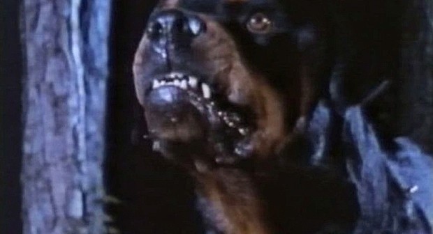 Earl Owensby's Dogs of Hell