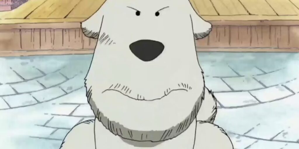 A Forgotten 'One Piece' Character Beats Sung Jinwoo in Character Development 4 Chouchou in One Piece