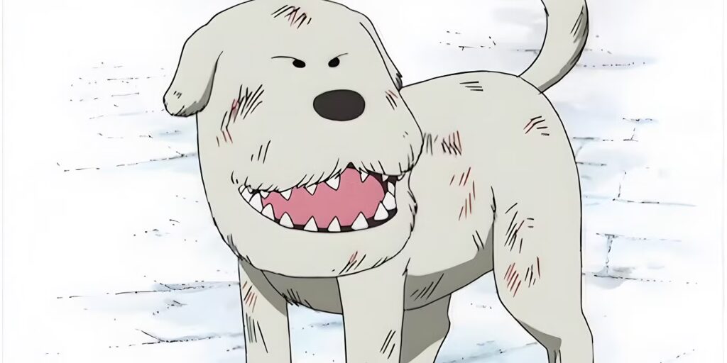 A Forgotten 'One Piece' Character Beats Sung Jinwoo in Character Development 5 Chouchou