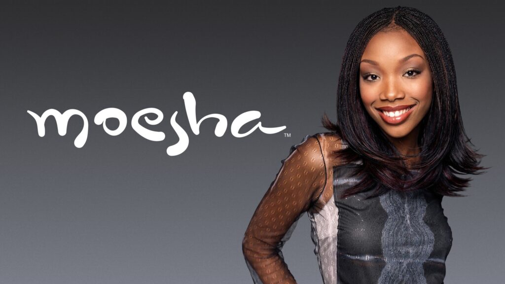 10 Insanely Popular TV Shows From the ‘90s You Can Stream on Netflix 31 Promotional image for "Moesha" TV show featuring Brandy as Moesha with long straight black hair wearing a shimmery outfit against a gray background, with the show's logo in white lettering.