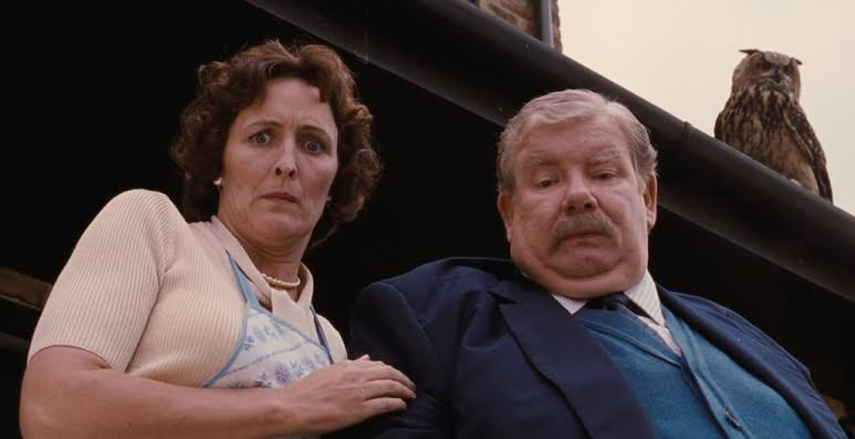 HBO's 'Harry Potter' Cast Update: 9 More Actors Confirmed, Roles Revealed 4 Fiona Shaw and Richard Griffiths looking down at the ground