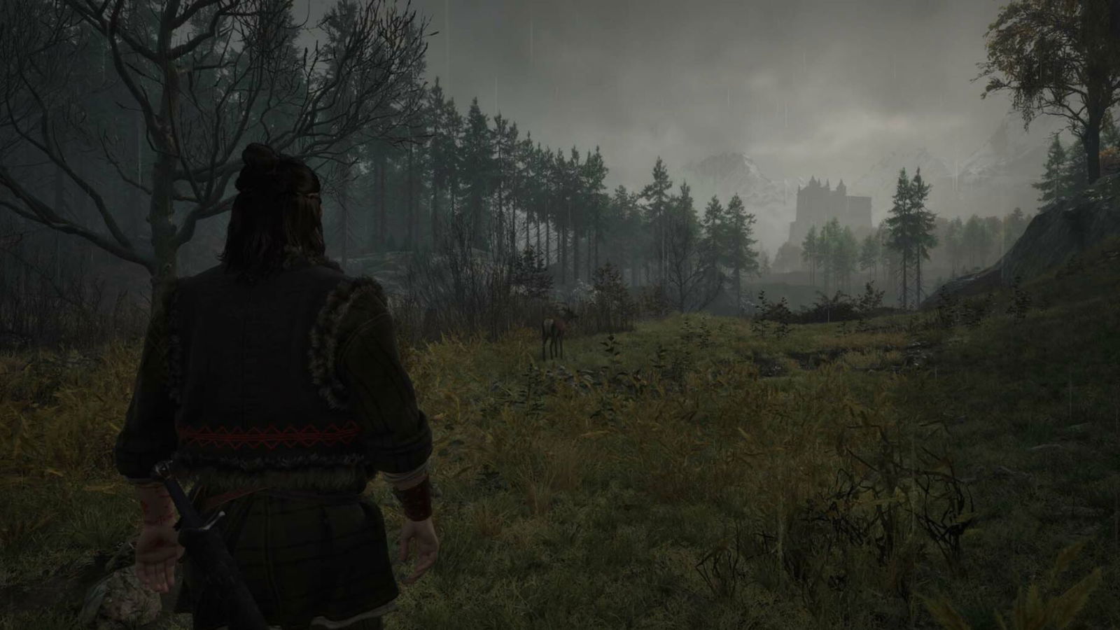 Blood of Dawnwalker free roam gameplay