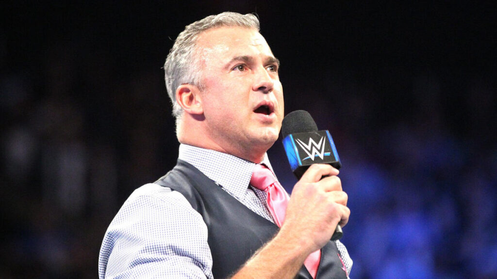 Shane McMahon vs Stephanie McMahon: Age, Net Worth, WWE Salary, Businesses, and More 3 Shane McMahon talking to WWE fans.