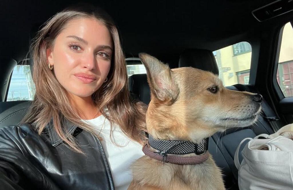 Glen Powell and Gigi Paris’ Relationship History: Who Did They Date Before Meeting Each Other? 4 Gigi Paris posing with her dog in the car
