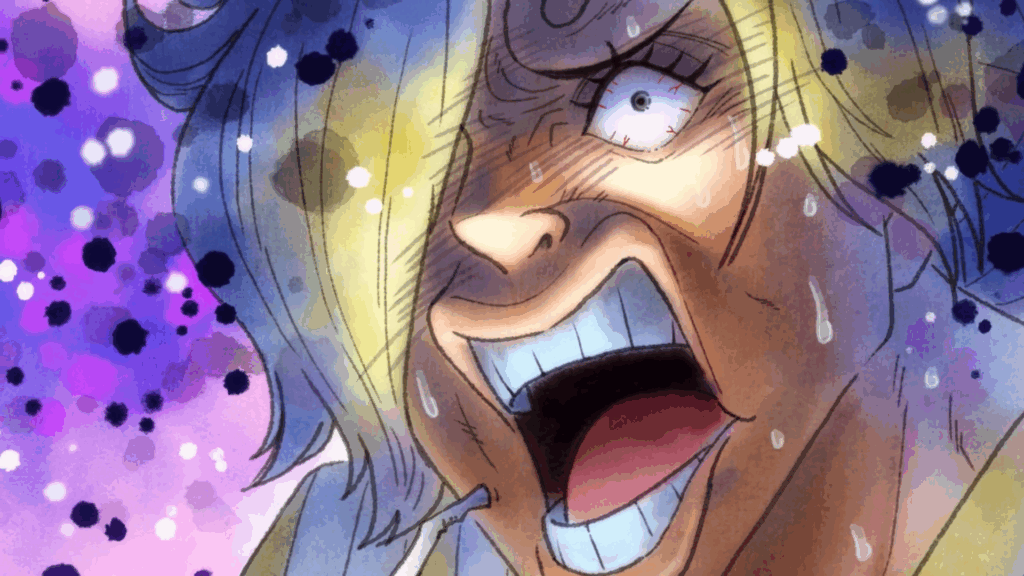 One Piece: Sanji’s Most Controversial Characteristic Has an Ironic Drawback 15 Sanji gets jealous after he sees Zoro with Hiyori