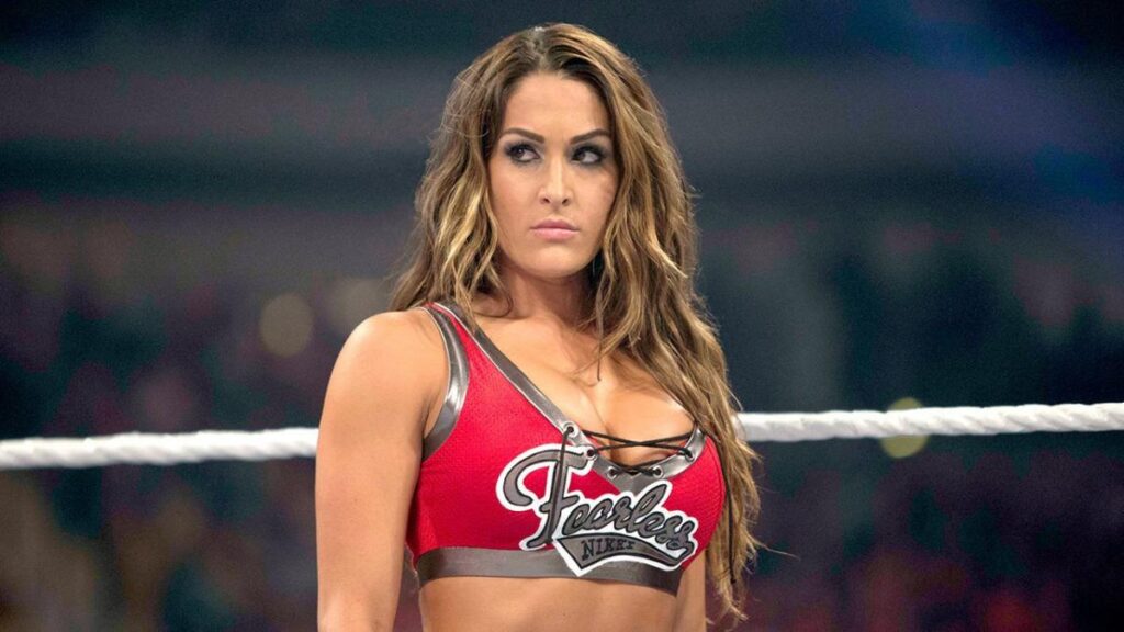 "I don't think she fits the women's roster at all': WWE Veteran Reveals Netflix Is Behind Nikki Bella's Return and He Might Be Right 1 Nikki Bella before a fight.