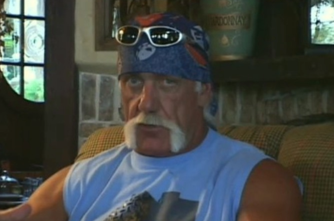 Hulk Hogan in Hogan Knows Best