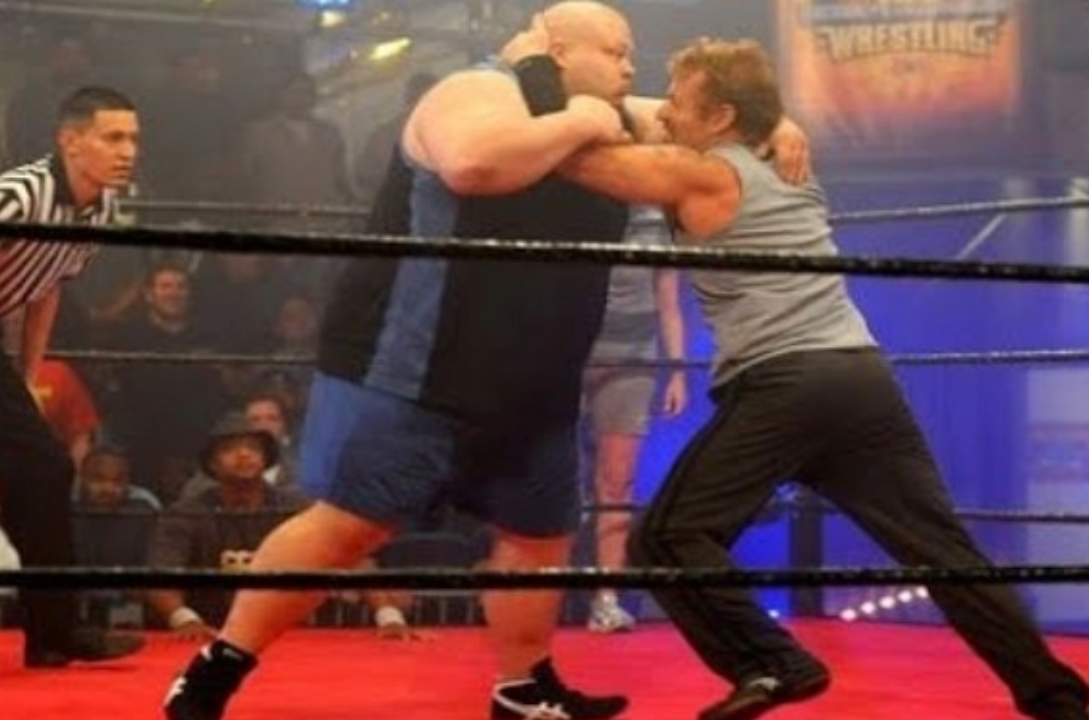 Hogan’s Celebrity Championship Wrestling