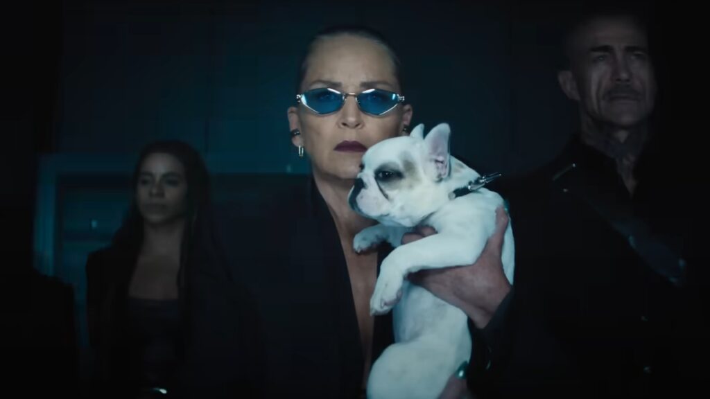 Sharon Stone holding a dog in a still from Nobody 2.