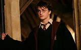 Animagi Every Known Animagus in Harry Potter, Ranked Least to Most Impressive