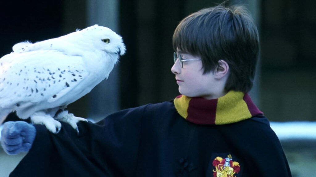 Harry Potter with his owl hedwig