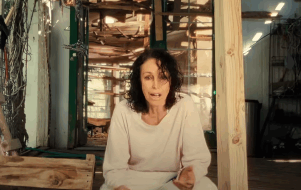 Heidi Fleiss in in aka Charlie Sheen