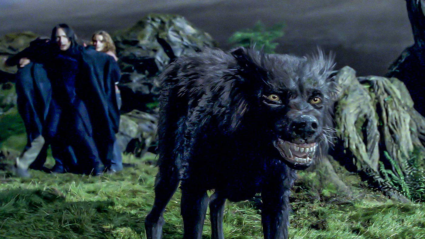 Every Known Animagus In Harry Potter Ranked Least To Most Impressive every-known-animagus-in-harry-potter-ranked-least-to-most-impressive