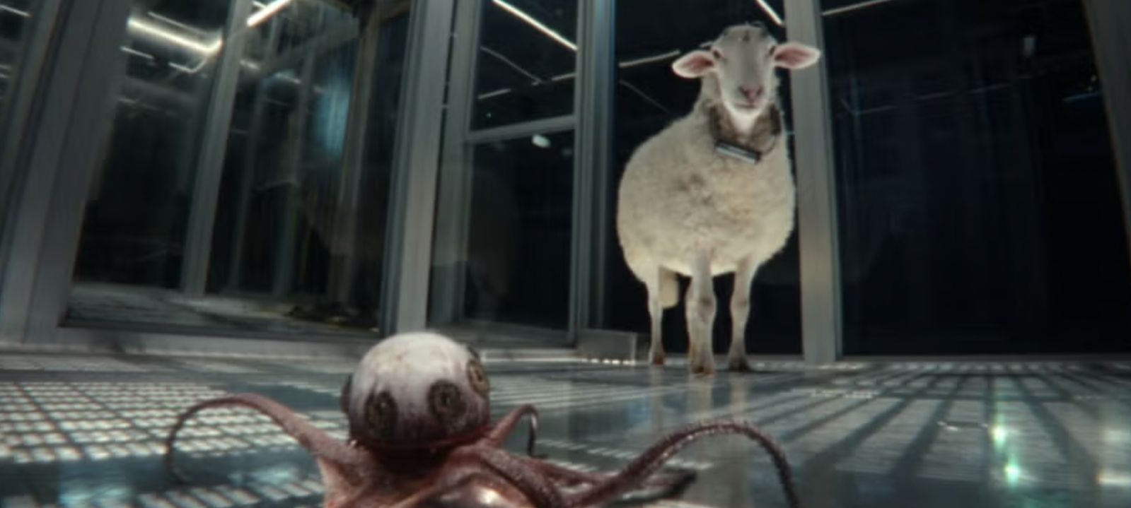 Alien: Earth Director’s Shocking Decision Not to Contact James Cameron ...