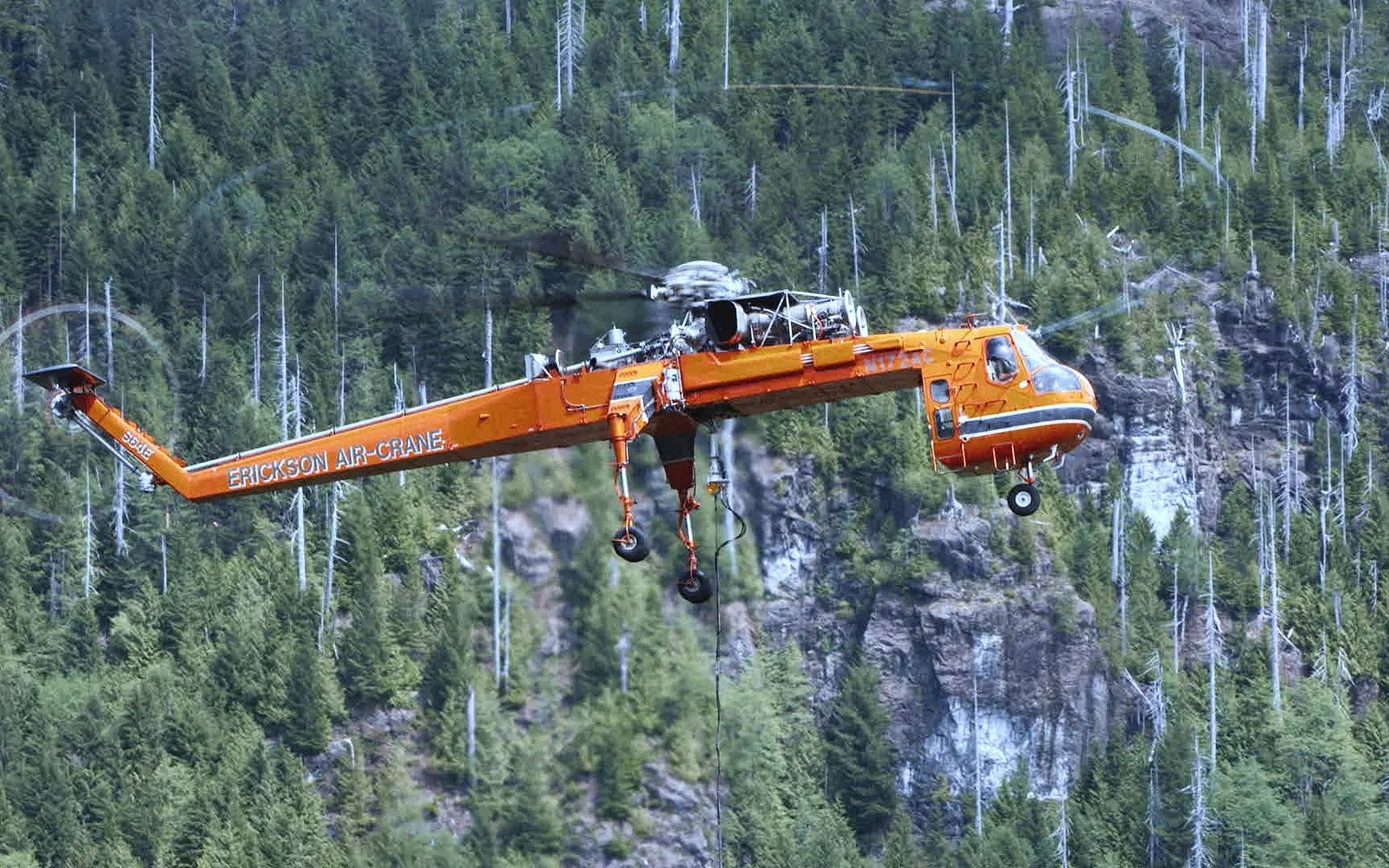 Timber Titans Season 2 Release Schedule Explained: Date, Time & Platforms