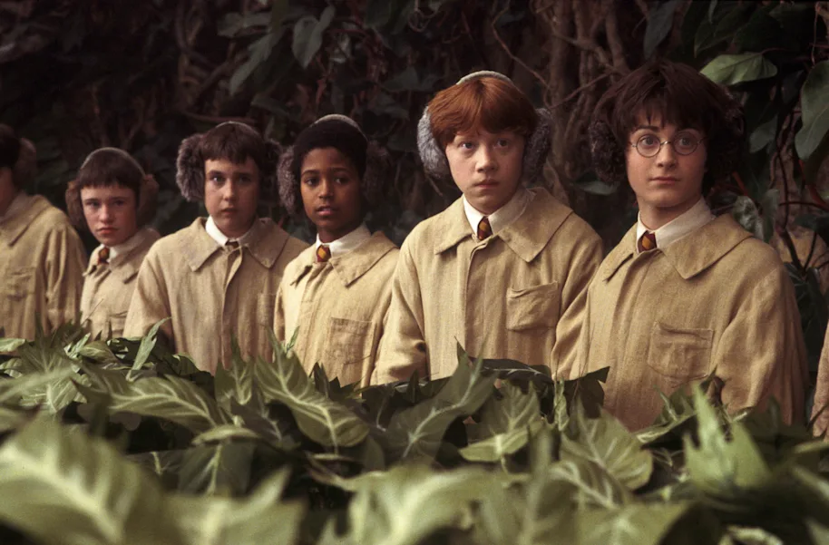 All Hogwarts students wearing ear muffs in their Herbology class