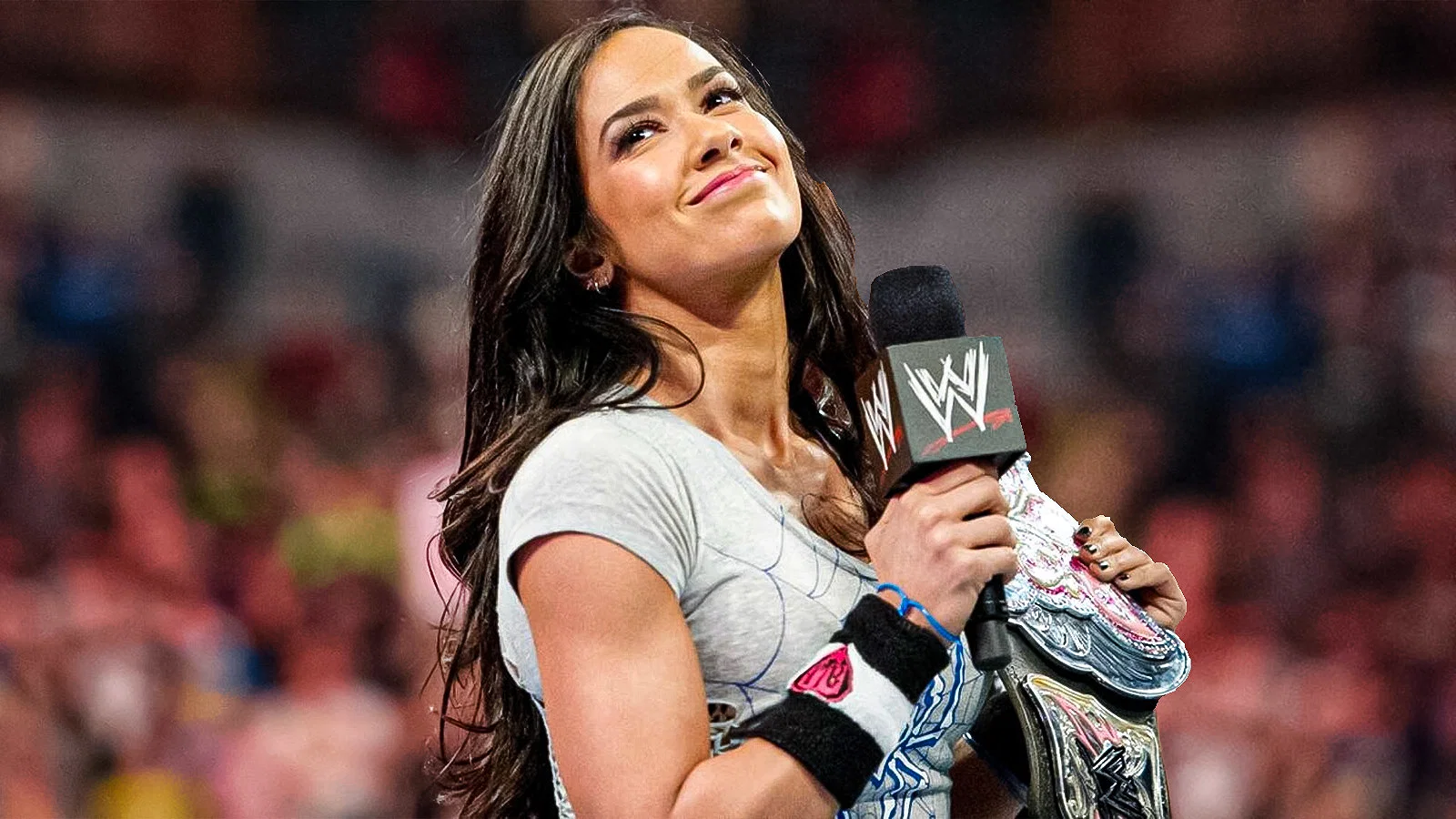 AJ Lee talking to WWE fans.